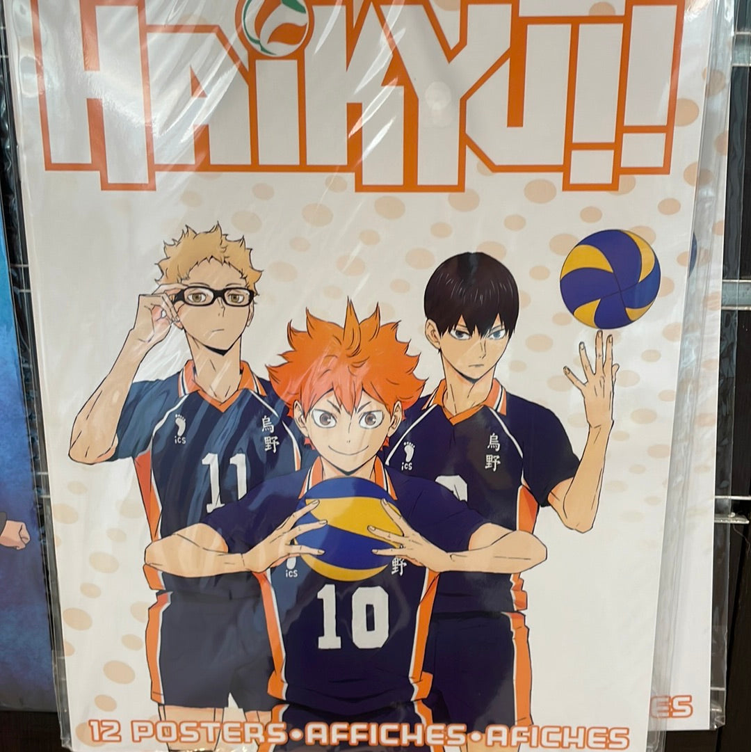 Haikyu mini poster